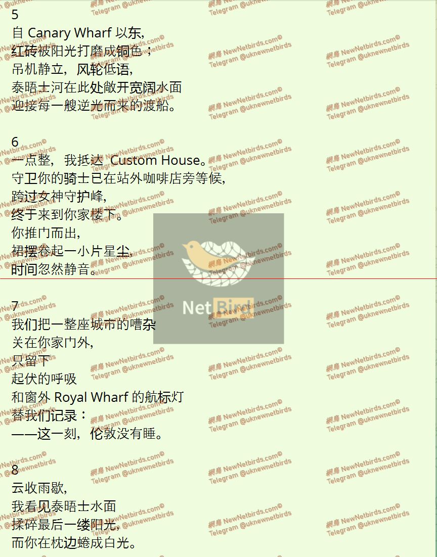 戰號 950 3.jpeg